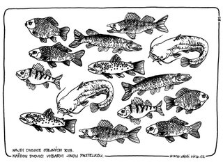 Ryby - najdi dvojice stejných ryb / úkol, omalovánka
